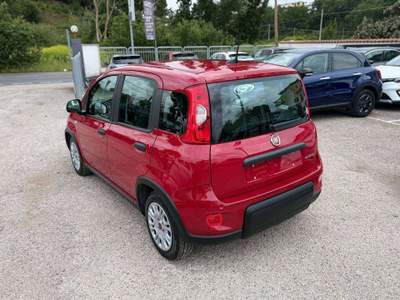 Fiat Panda Panda III 2021 1.0 firefly hybrid s Rosso usata Ardea