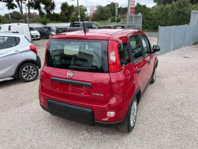 Fiat Panda Panda III 2021 1.0 firefly hybrid s Rosso usata Ardea