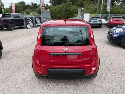 Fiat Panda Panda III 2021 1.0 firefly hybrid s Rosso usata Ardea