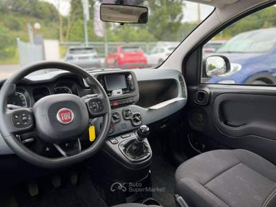 Fiat Panda Panda III 2021 1.0 firefly hybrid s Rosso usata Ardea