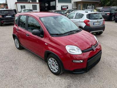 Fiat Panda Panda III 2021 1.0 firefly hybrid s Rosso usata Ardea