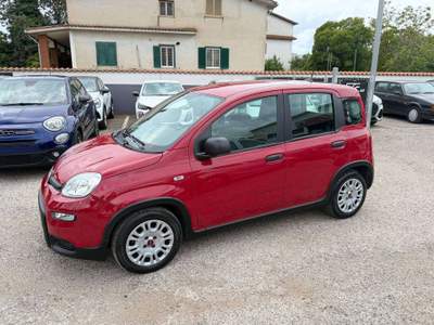 Fiat Panda Panda III 2021 1.0 firefly hybrid s Rosso usata Ardea