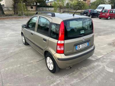 Fiat Panda 1.2 Dynamic NEOPATENTATI Bronzo usata Roncadelle