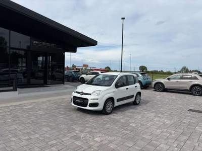 Fiat Panda 1.2 Easy ANCHE PER NEOPATENTATI Bianco usata Russi