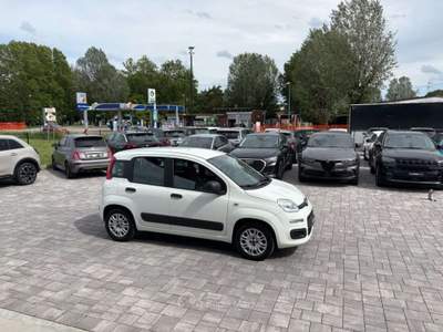 Fiat Panda 1.2 Easy ANCHE PER NEOPATENTATI Bianco usata Russi