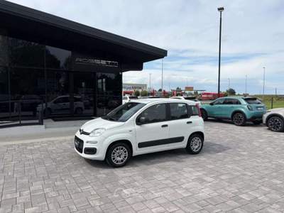 Fiat Panda 1.2 Easy ANCHE PER NEOPATENTATI Bianco usata Russi