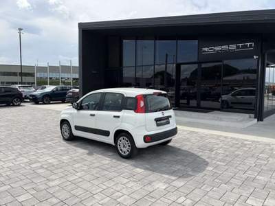 Fiat Panda 1.2 Easy ANCHE PER NEOPATENTATI Bianco usata Russi
