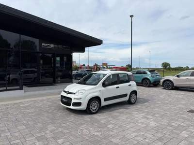 Fiat Panda 1.2 Easy ANCHE PER NEOPATENTATI Bianco usata Russi