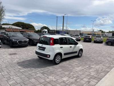 Fiat Panda 1.2 Easy ANCHE PER NEOPATENTATI Bianco usata Russi