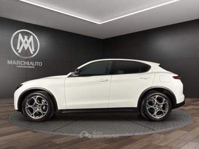 Alfa Romeo Stelvio 2.2 Turbodiesel 160 CV AT8 RWD Sprint Bianco usata Bastia Umbra