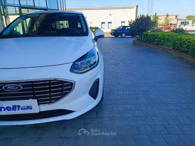 Ford Fiesta 1.1 75 CV GPL 5 porte Titanium Bianco usata Castelfranco di Sotto
