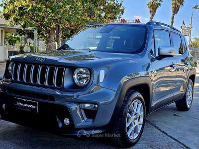 Jeep Renegade iva esposta deducibile unico proprietario chilometri certificati Grigio usata Modugno