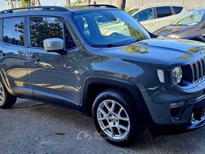 Jeep Renegade iva esposta deducibile unico proprietario chilometri certificati Grigio usata Modugno