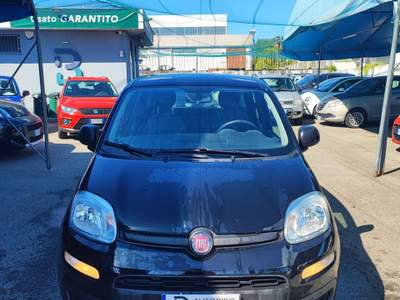Fiat Panda FireFly S&S Hybrid Nero usata Torino Fiat Panda FireFly S&S Hybrid Nero usata Torino
