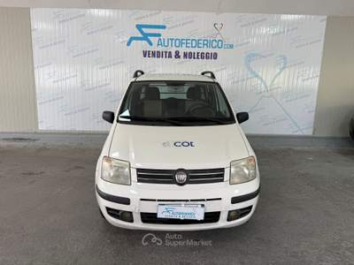 Fiat Panda Fiat Panda Van 1.2 Benz. Bianco usata Pompei