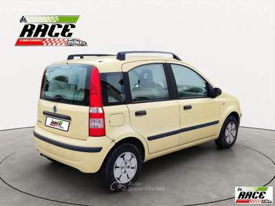 Fiat Panda 1.1 Active Giallo usata Pieve a Nievole