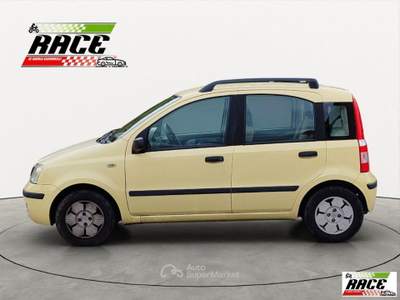 Fiat Panda 1.1 Active Giallo usata Pieve a Nievole
