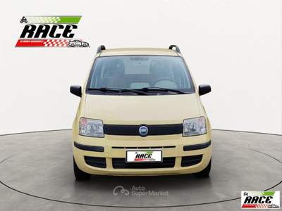 Fiat Panda 1.1 Active Giallo usata Pieve a Nievole