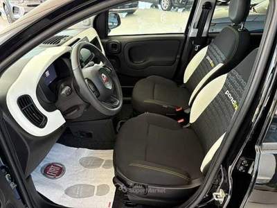 Fiat Panda 1.0 FireFly S&S Hybrid Pandina Verde usata Montesarchio