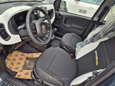Fiat Panda 1.0 FireFly S&S Hybrid Pandina Verde usata Montesarchio