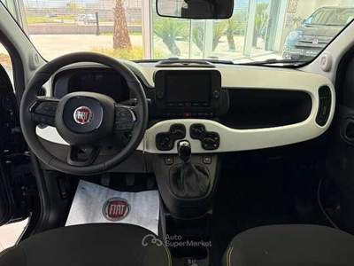 Fiat Panda 1.0 FireFly S&S Hybrid Pandina Verde usata Montesarchio