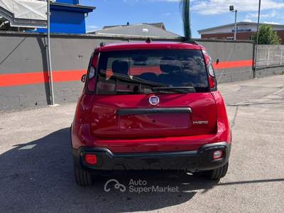 Fiat Pandina 1.0 firefly hybrid s&amp;s 70cv Rosso usata MONCALIERI