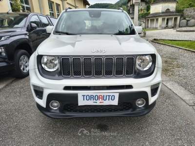 Jeep Renegade 1.6 Mjt 120 CV Business Bianco usata Varallo