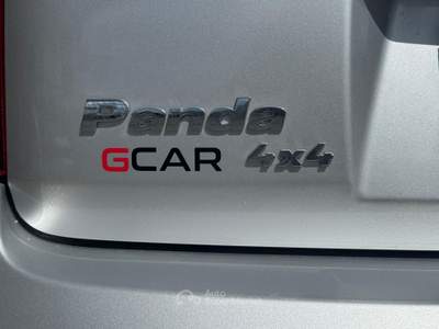 Fiat Panda Fiat Panda 1.3 MJT 4x4 Climbing Argento usata Giugliano in Campania
