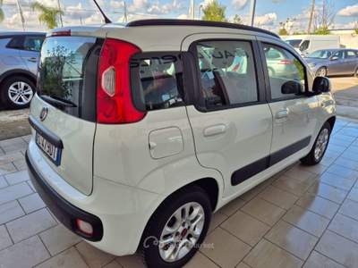 Fiat Panda 1.2 Lounge Bianco usata Francavilla Fontana