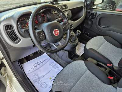 Fiat Panda 1.2 Lounge Bianco usata Francavilla Fontana