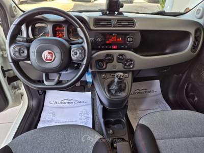 Fiat Panda 1.2 Lounge Bianco usata Francavilla Fontana