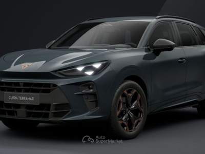 Cupra Terramar 1.5 hybrid 150cv dsg Blu/Azzurro usata Vicenza