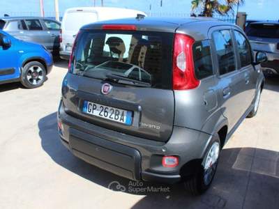 Fiat Panda 1.0 FireFly S&S Hybrid Grigio usata Trapani