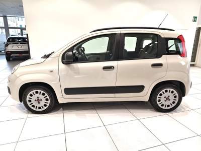 Fiat Panda Panda 1.2 Easy 69cv 5 POSTI Beige usata Alto Reno Terme