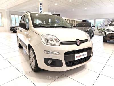 Fiat Panda Panda 1.2 Easy 69cv 5 POSTI Beige usata Alto Reno Terme