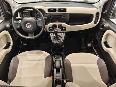 Fiat Panda Panda 1.2 Easy 69cv 5 POSTI Beige usata Alto Reno Terme