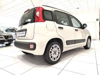 Fiat Panda Panda 1.2 Easy 69cv 5 POSTI Beige usata Alto Reno Terme