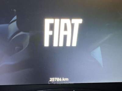 Fiat Panda Panda 1.0 70cv Pandina "Cross" Bianco usata Almese