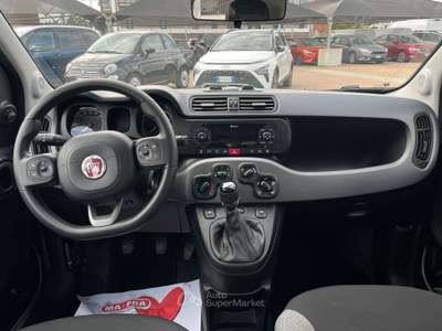Fiat Panda 1.0 Hybrid 70CV City Life / IN PRONTA CONSEGNA Bianco usata TORINO