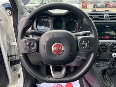 Fiat Panda 1.0 Hybrid 70CV City Life / IN PRONTA CONSEGNA Bianco usata TORINO