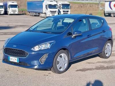 Ford Fiesta 5 porte Plus Blu/Azzurro usata PARMA