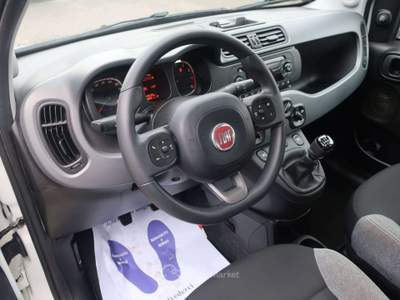 Fiat Panda Panda III 1.0 firefly hybrid City Life s&s Bianco usata Ponte di Piave