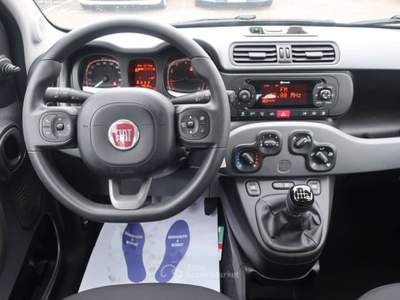 Fiat Panda Panda III 1.0 firefly hybrid City Life s&s Bianco usata Ponte di Piave