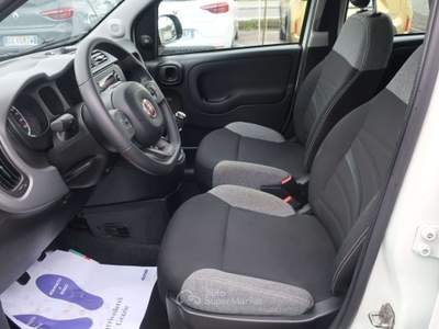 Fiat Panda Panda III 1.0 firefly hybrid City Life s&s Bianco usata Ponte di Piave