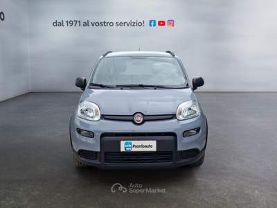 Fiat Panda 1.0 FireFly Hybrid City Life Grigio usata Castagnaro