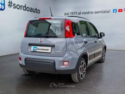 Fiat Panda 1.0 FireFly Hybrid City Life Grigio usata Castagnaro