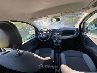 Fiat Panda 0.9 t.air t. 4x4 s&s 85cv my19 Bianco usata Grottammare