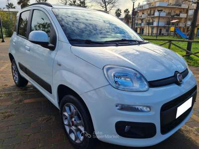 Fiat Panda 1.3 MJT 80 cv S & S 4 x 4 Bianco usata Grottammare