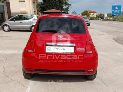 Fiat 500 FIAT 500 1.0 Hybrid Club Rosso usata San Benedetto del Tronto