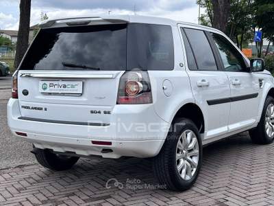 Land Rover Freelander LAND ROVER Freelander 2.2 SD4 S.W. SE Bianco usata Abano Terme